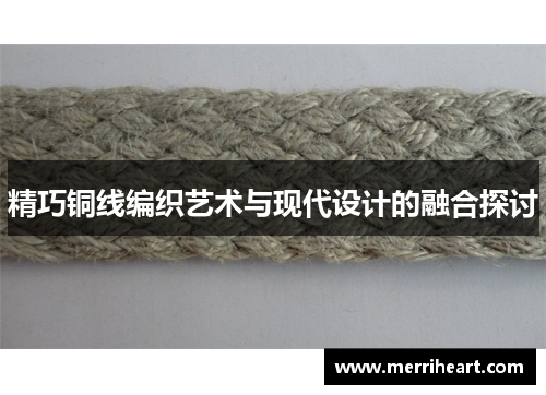 精巧铜线编织艺术与现代设计的融合探讨