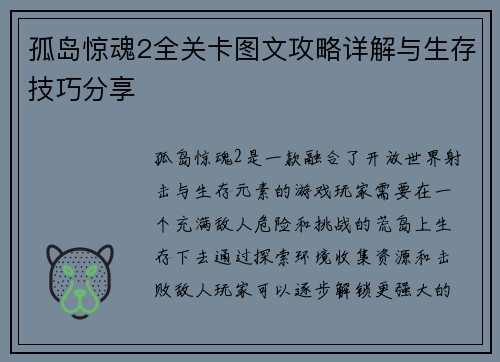孤岛惊魂2全关卡图文攻略详解与生存技巧分享